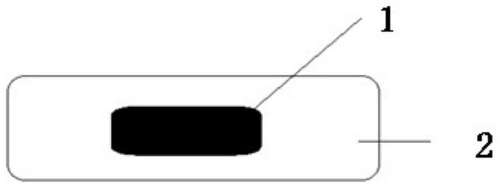 Biodegradable radioactive particle, particle composition and preparation method thereof