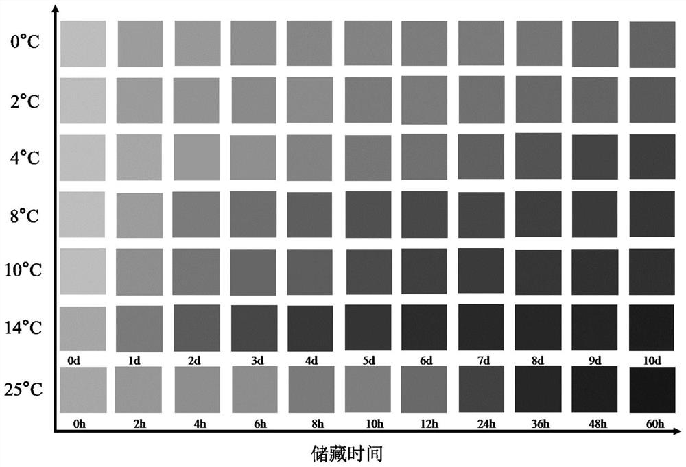 Preparation method and application of time-temperature indicator for monitoring temperature and freshness changes in mackerel transportation