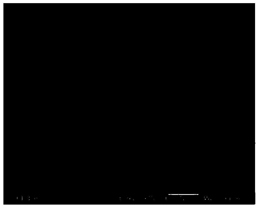 Preparation method of polypropylene amidoxime surface grafting modified zeolite and application thereof