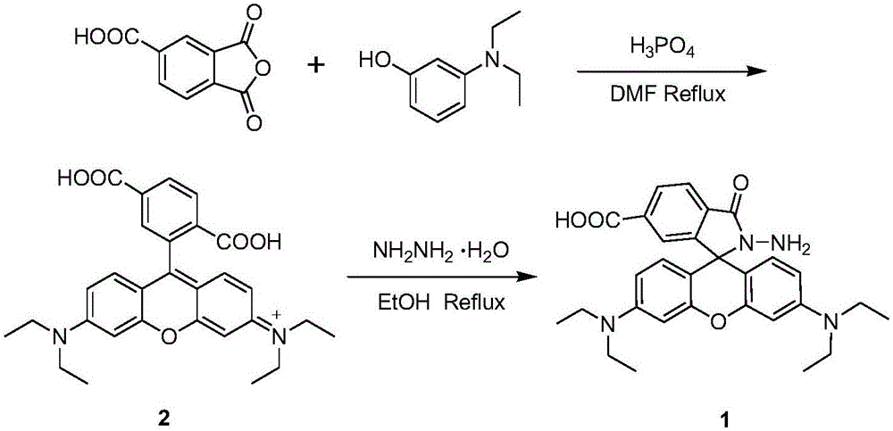 Method for preparing water-soluble mercury ion fluorescence probe on basis of rhodamine and application of water-soluble mercury ion fluorescence probe