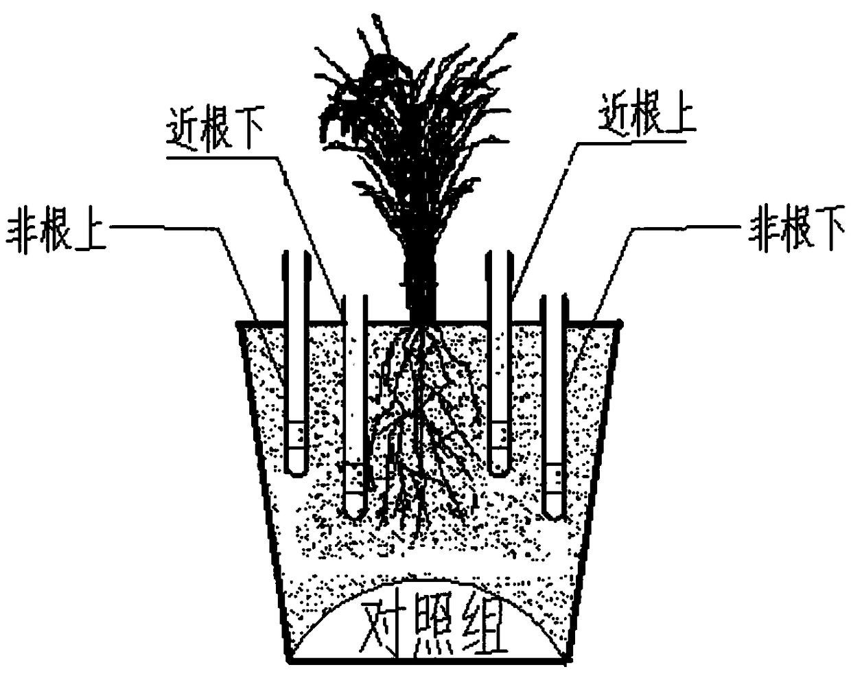 A passive leachate collector suitable for pops detection in soil