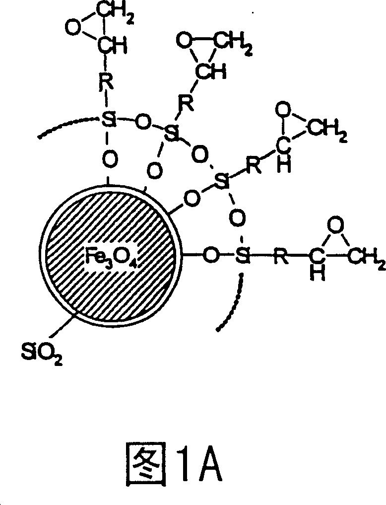 Curable bonded assemblies capable of being dissociated