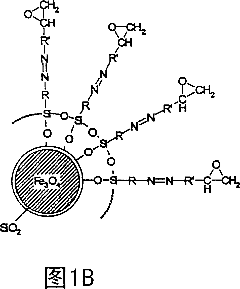 Curable bonded assemblies capable of being dissociated