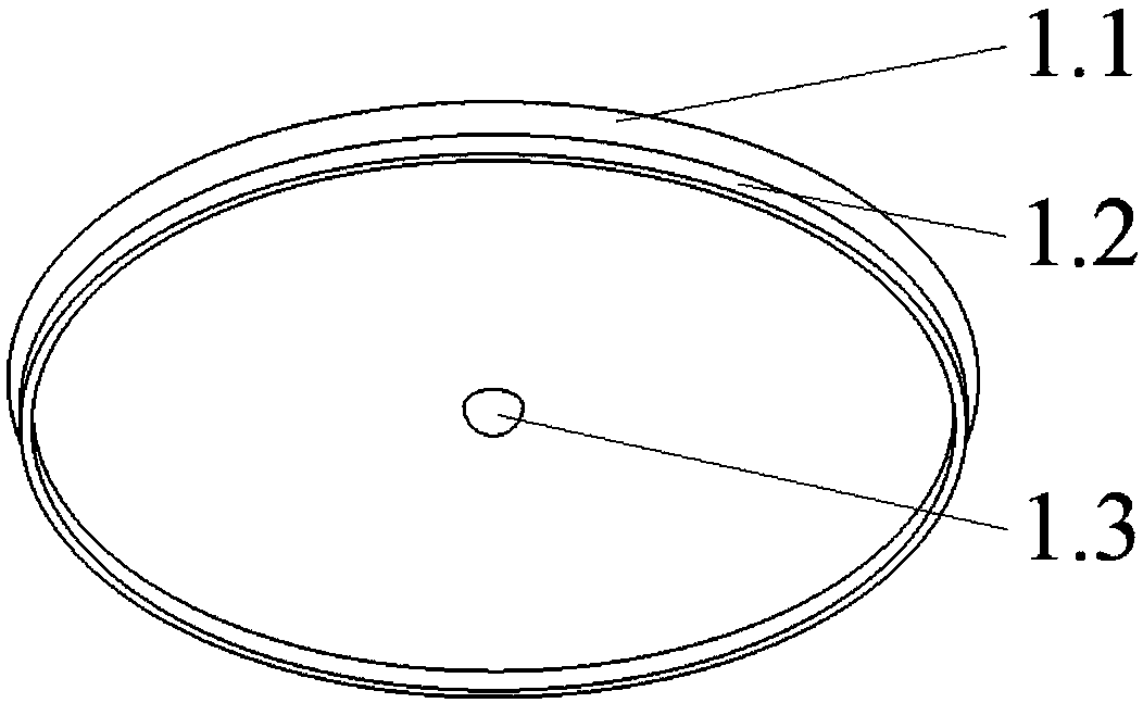 Petri dish for cultivating plasmopara viticola