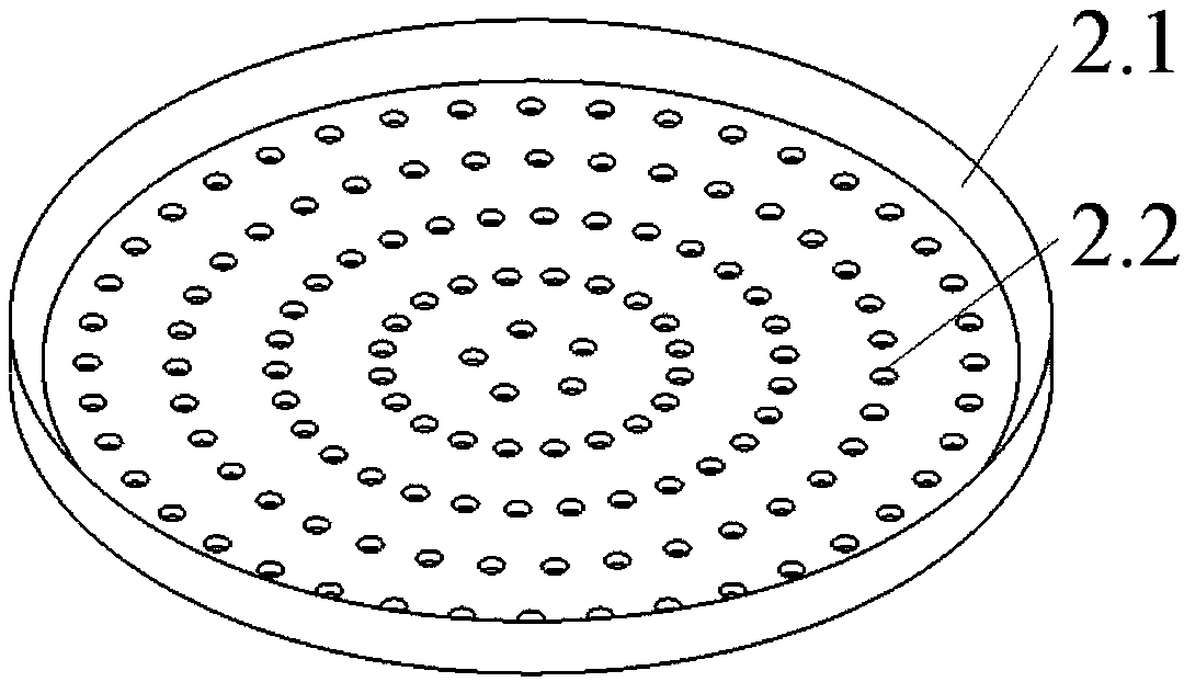 Petri dish for cultivating plasmopara viticola