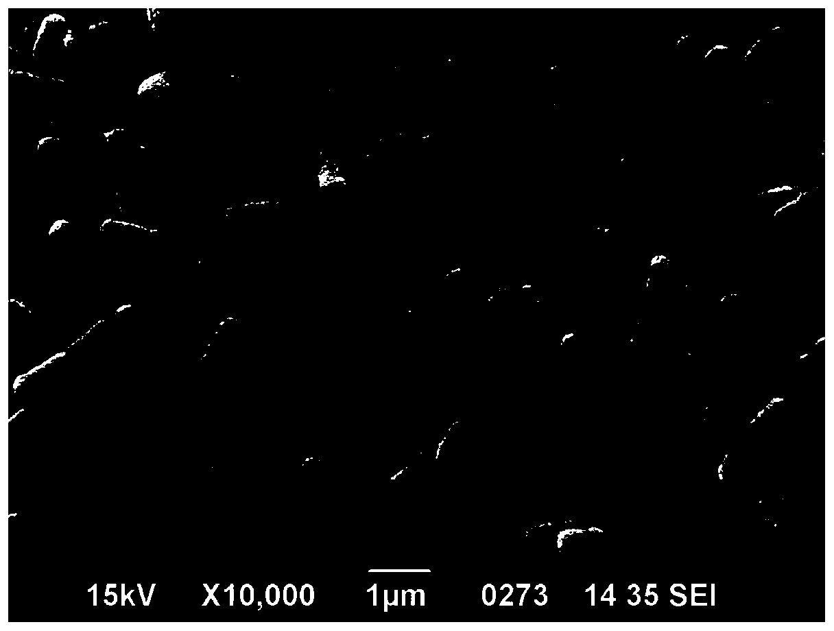 A highly efficient phorbol ester degrading strain and its application in detoxification of Jatropha curcas cake fermentation