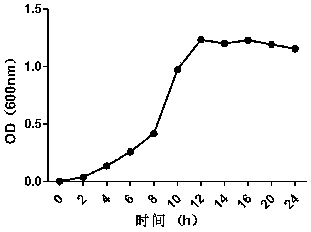 A highly efficient phorbol ester degrading strain and its application in detoxification of Jatropha curcas cake fermentation