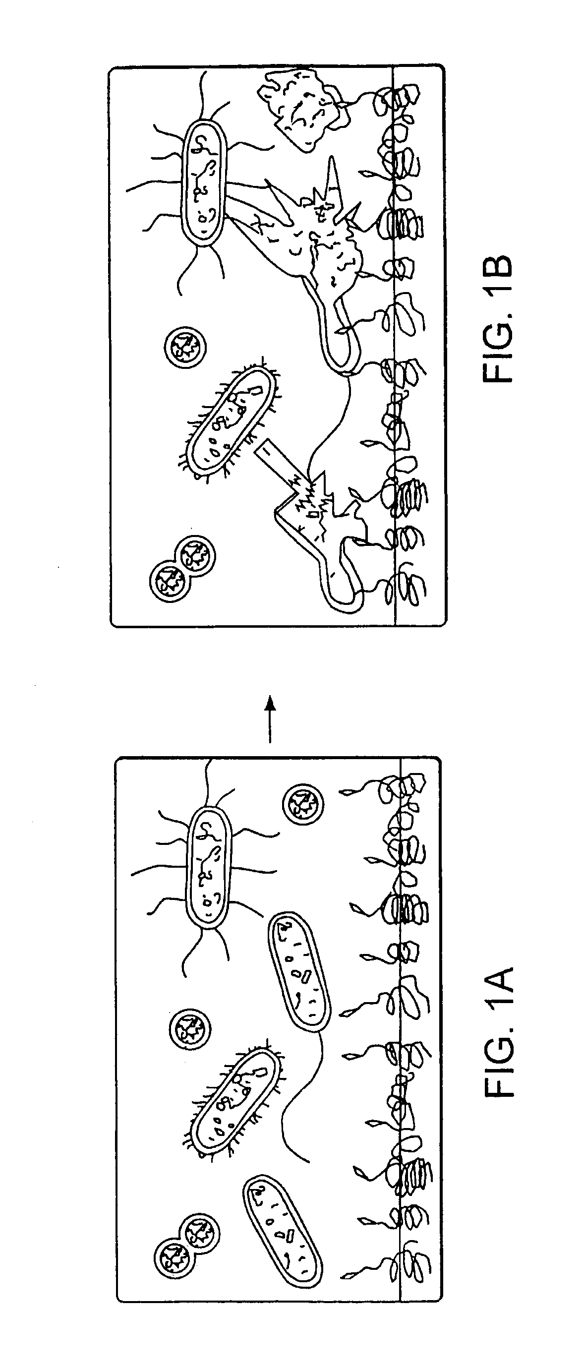 Contact-killing antimicrobial devices