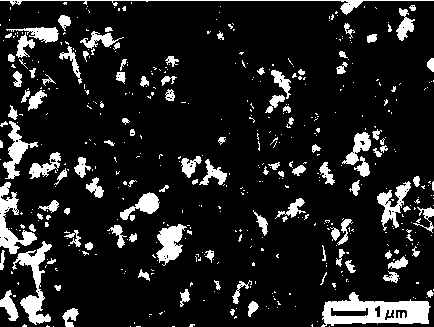 Micronano-structured and graphene based composite visible light catalytic material and preparing method thereof