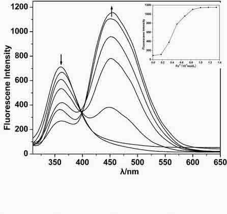 Benzene Derivative Metal Ion Fluorescent Probe and Its Application