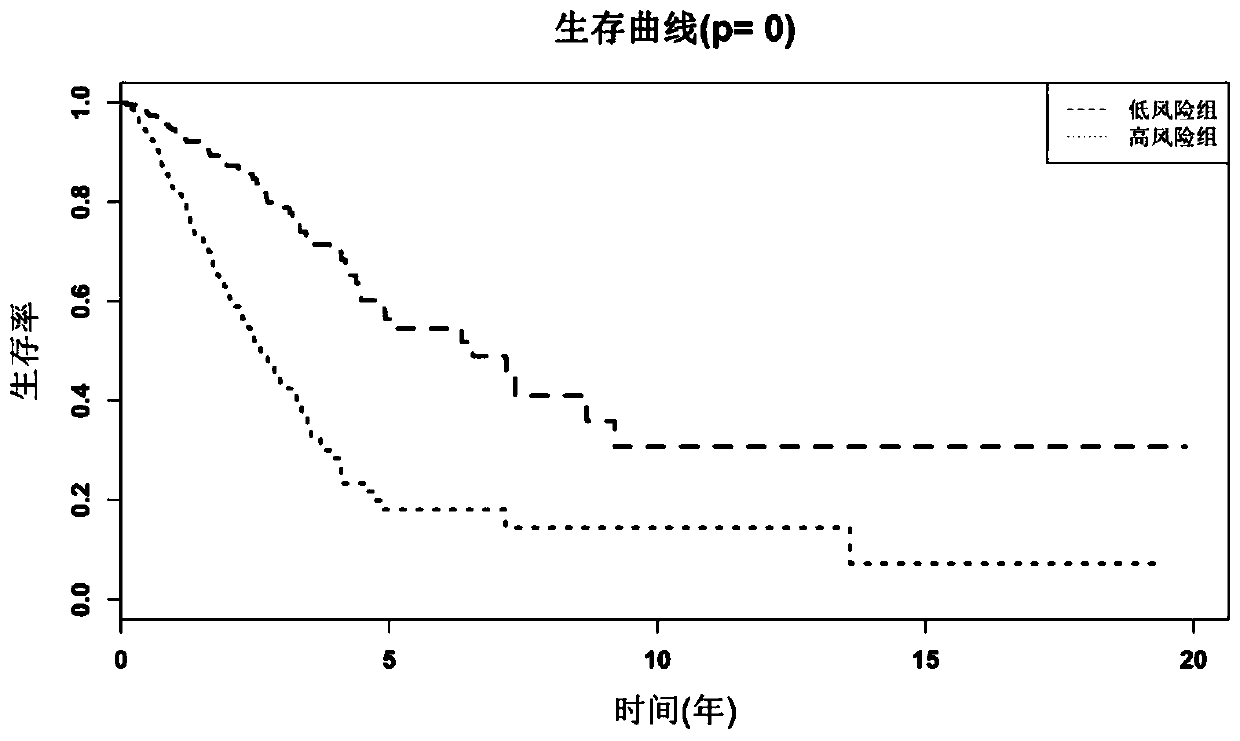 A prognostic marker for lung cancer, method and application of using the marker to predict the prognosis of lung cancer