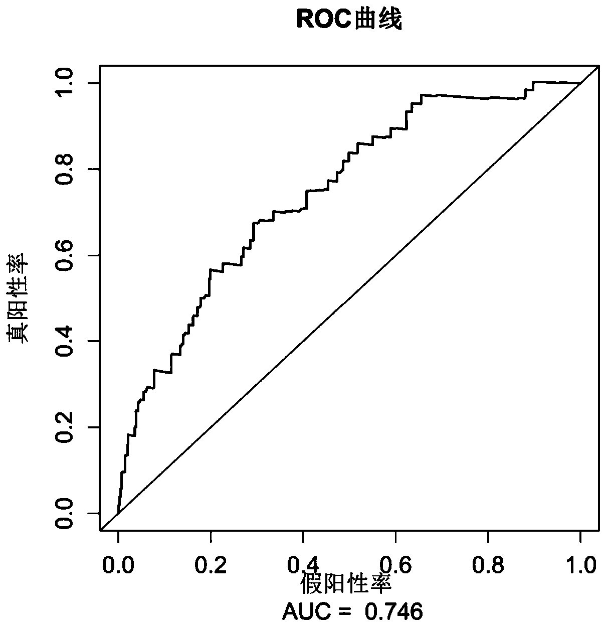 A prognostic marker for lung cancer, method and application of using the marker to predict the prognosis of lung cancer