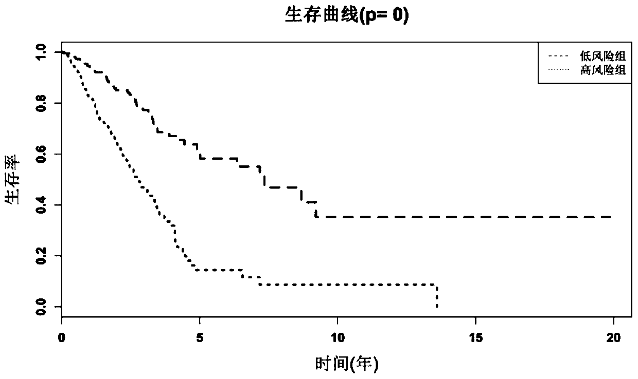 A prognostic marker for lung cancer, method and application of using the marker to predict the prognosis of lung cancer