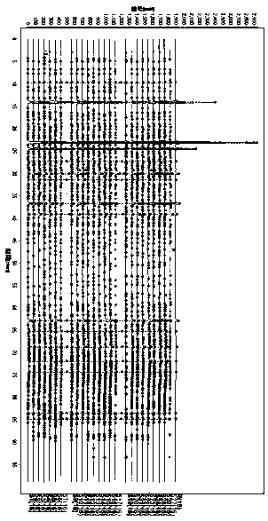 Miao medicine Periploca forrestii Schltr. HPLC fingerprint study and multi-component content determination method