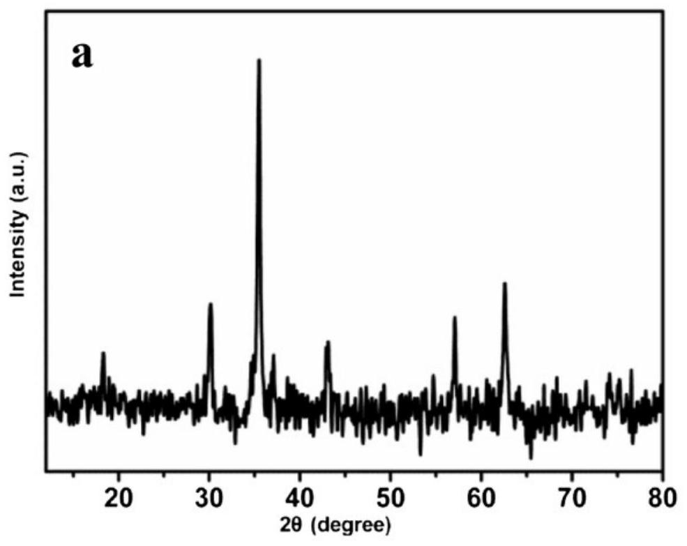 Composite magnetic nanoparticle and its preparation method and application