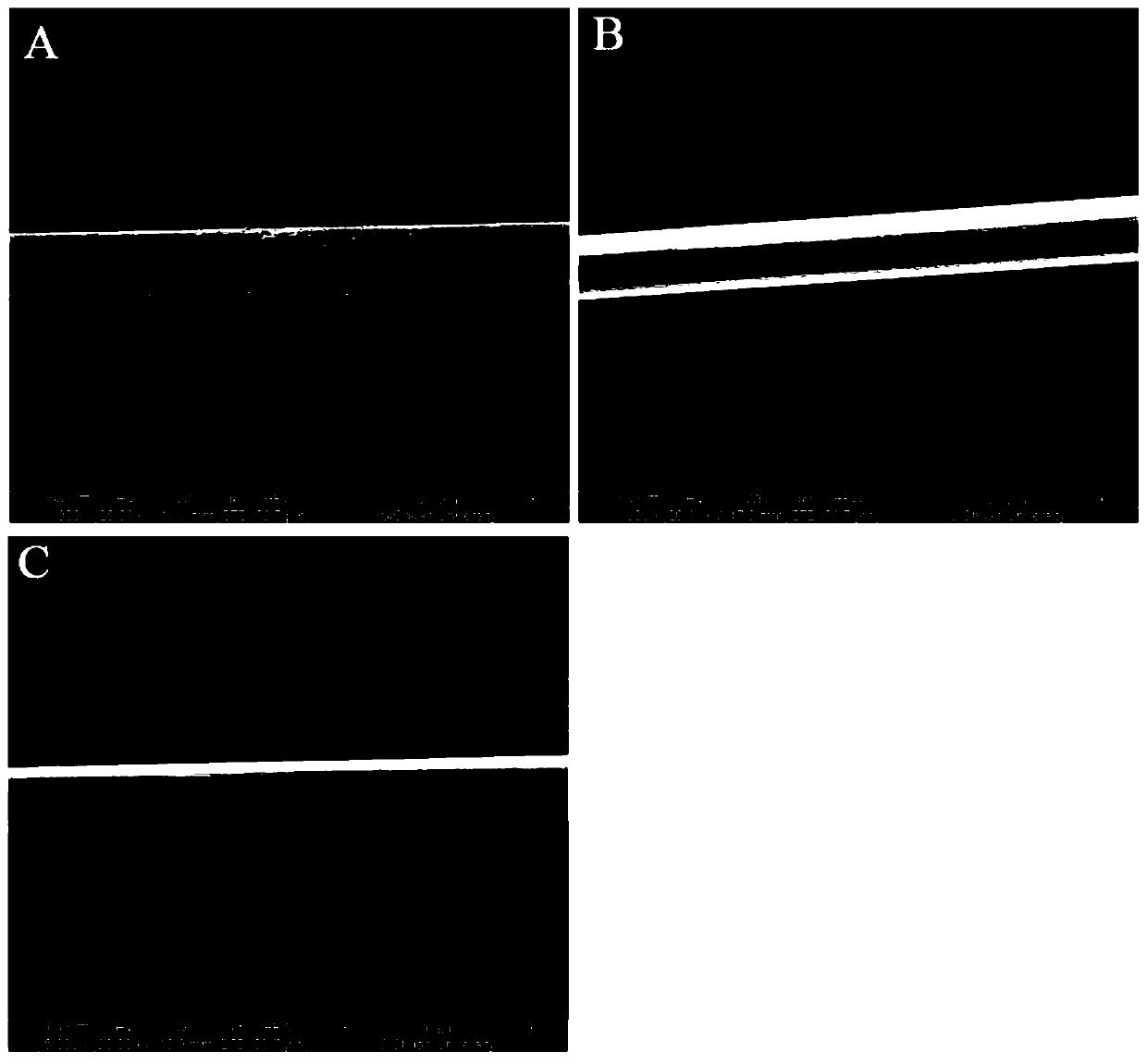 Preparation method of carbon fiber uniformly-electroplated copper layer