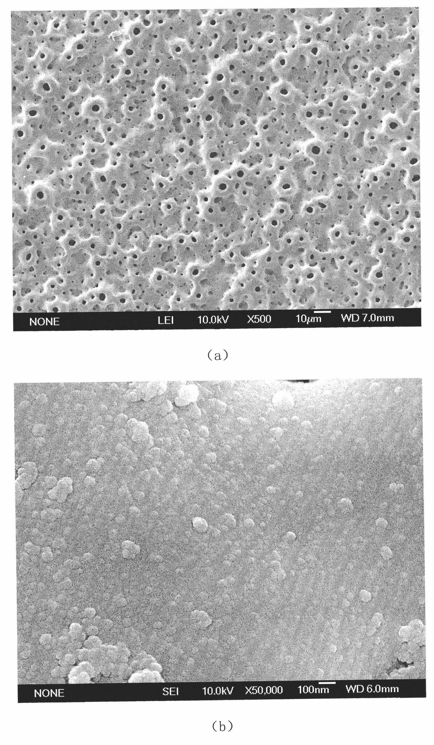 Zinc-doped porous nano-titanium oxide coating and its preparation method