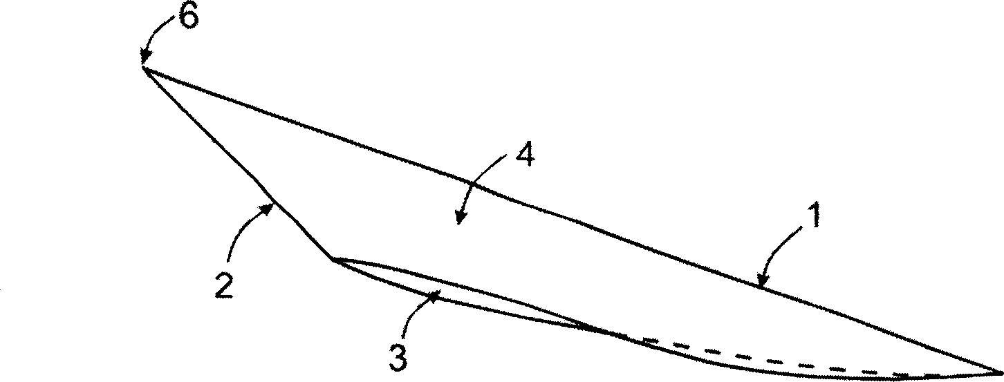 Supersonic wing of supersonic spiral natural-gas separator