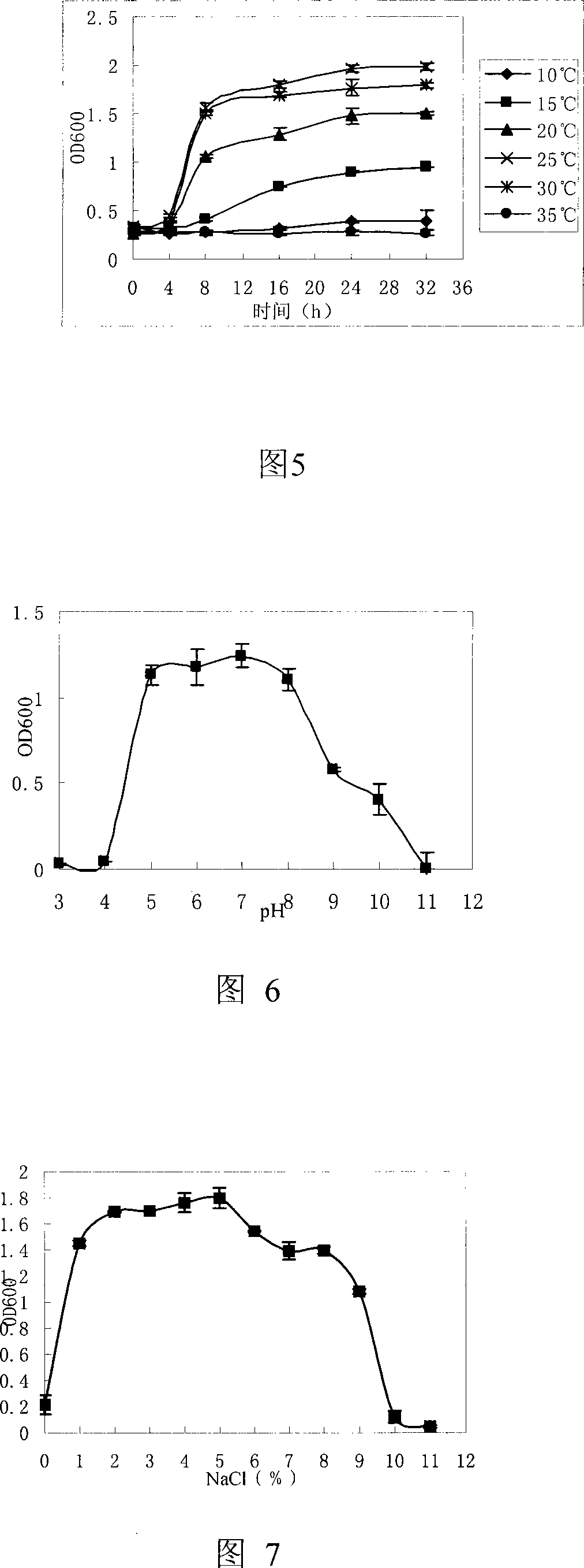 Ocean microorganism low-temperature amylase and producing strain pseudoalteromonas GS230 thereof