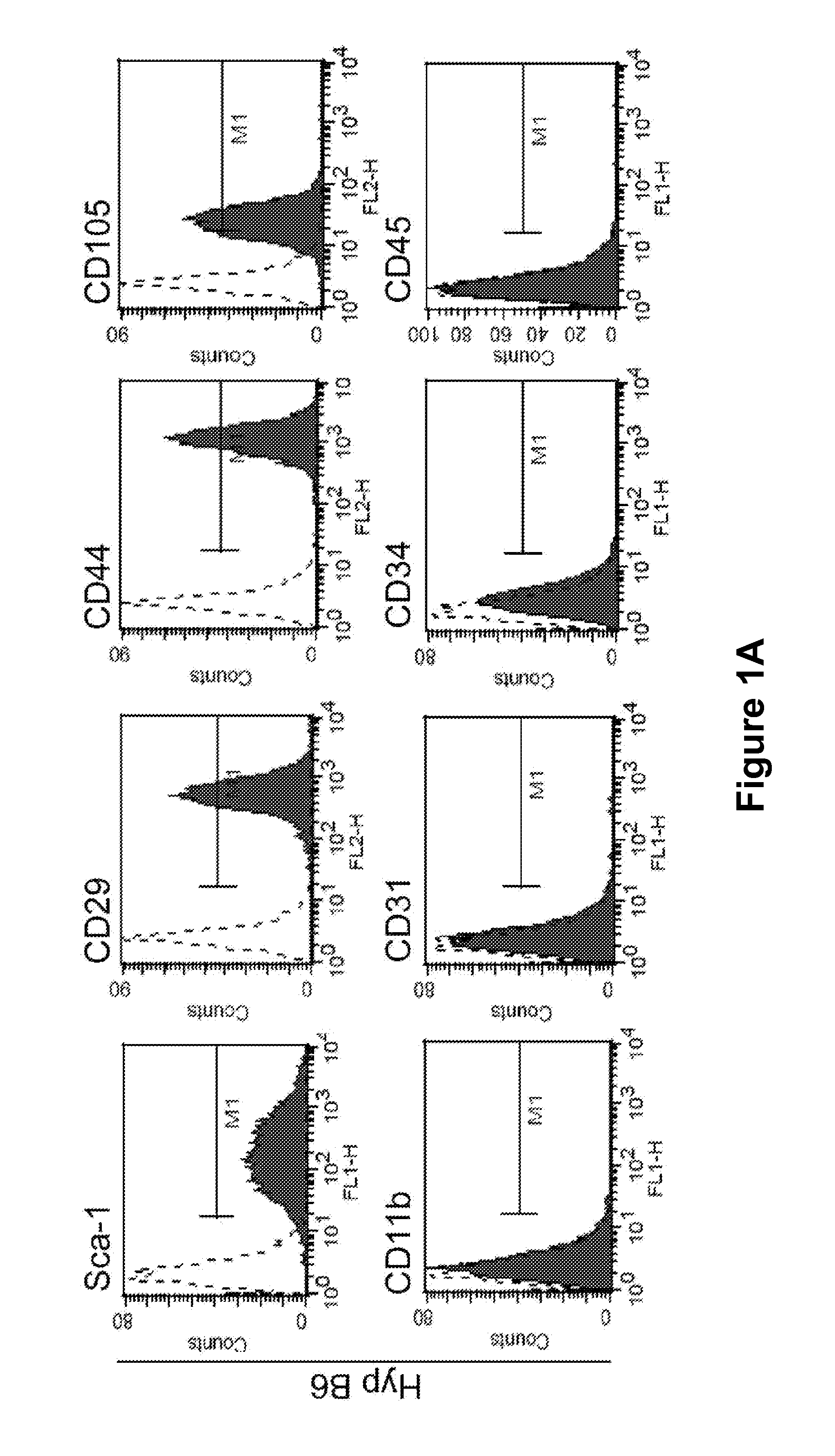 Method for reducing rejection of allogeneic cell transplant