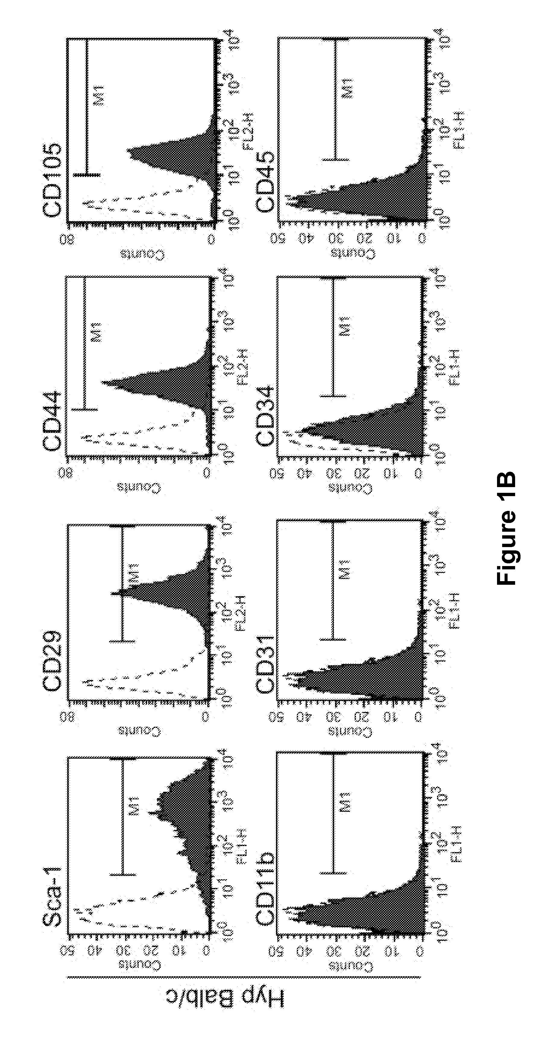 Method for reducing rejection of allogeneic cell transplant