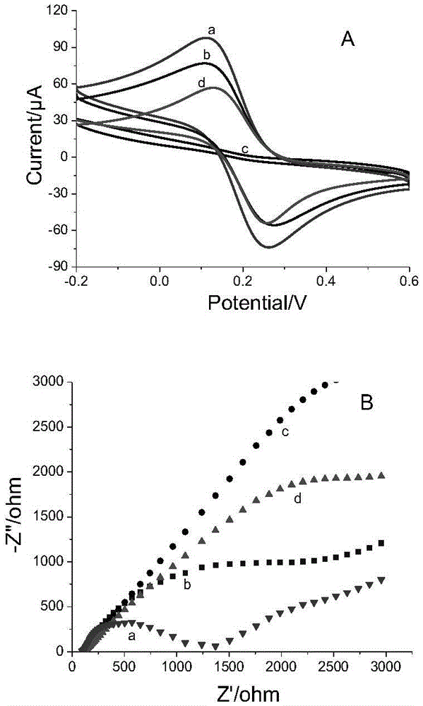 Novel method for detection of codeine based on ionic iridium complex electrochemiluminescence and molecular imprinting recognition