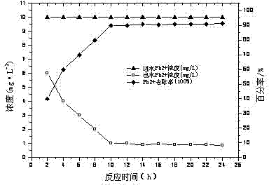 Radiation preparation method and application of polymer hydrogel-based nano iron oxide