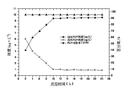 Radiation preparation method and application of polymer hydrogel-based nano iron oxide