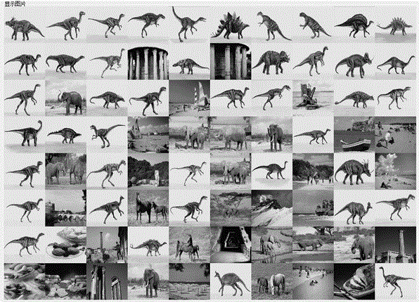 Image search method based on CGCI-SIFT (consistence index-scale invariant feature transform) partial feature