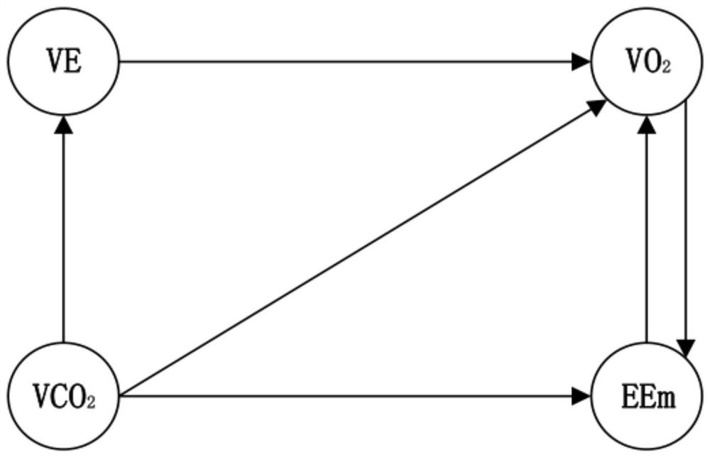 A causal network method for fatigue state based on multi-source data information