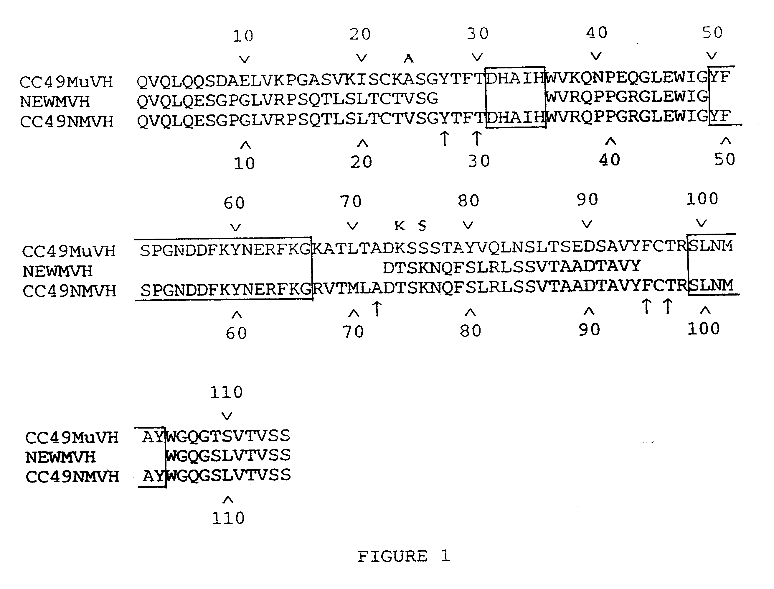 High affinity humanized anti-TAG-72 monoclonalantibodies