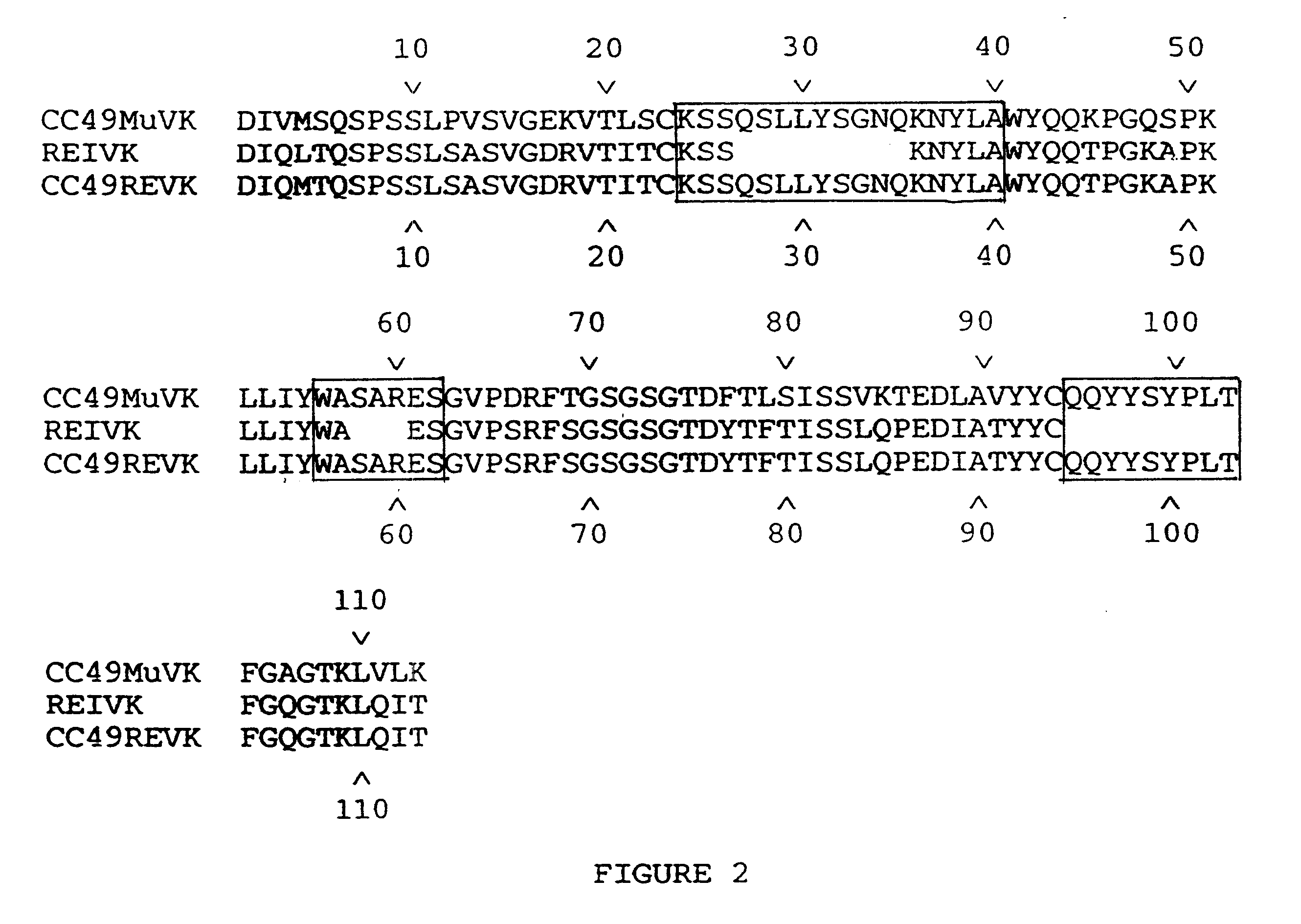 High affinity humanized anti-TAG-72 monoclonalantibodies