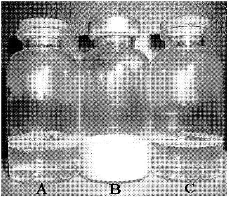 Triblock copolymer loaded taxane medicaments micelle and freeze-drying preparation, and preparation method and application thereof