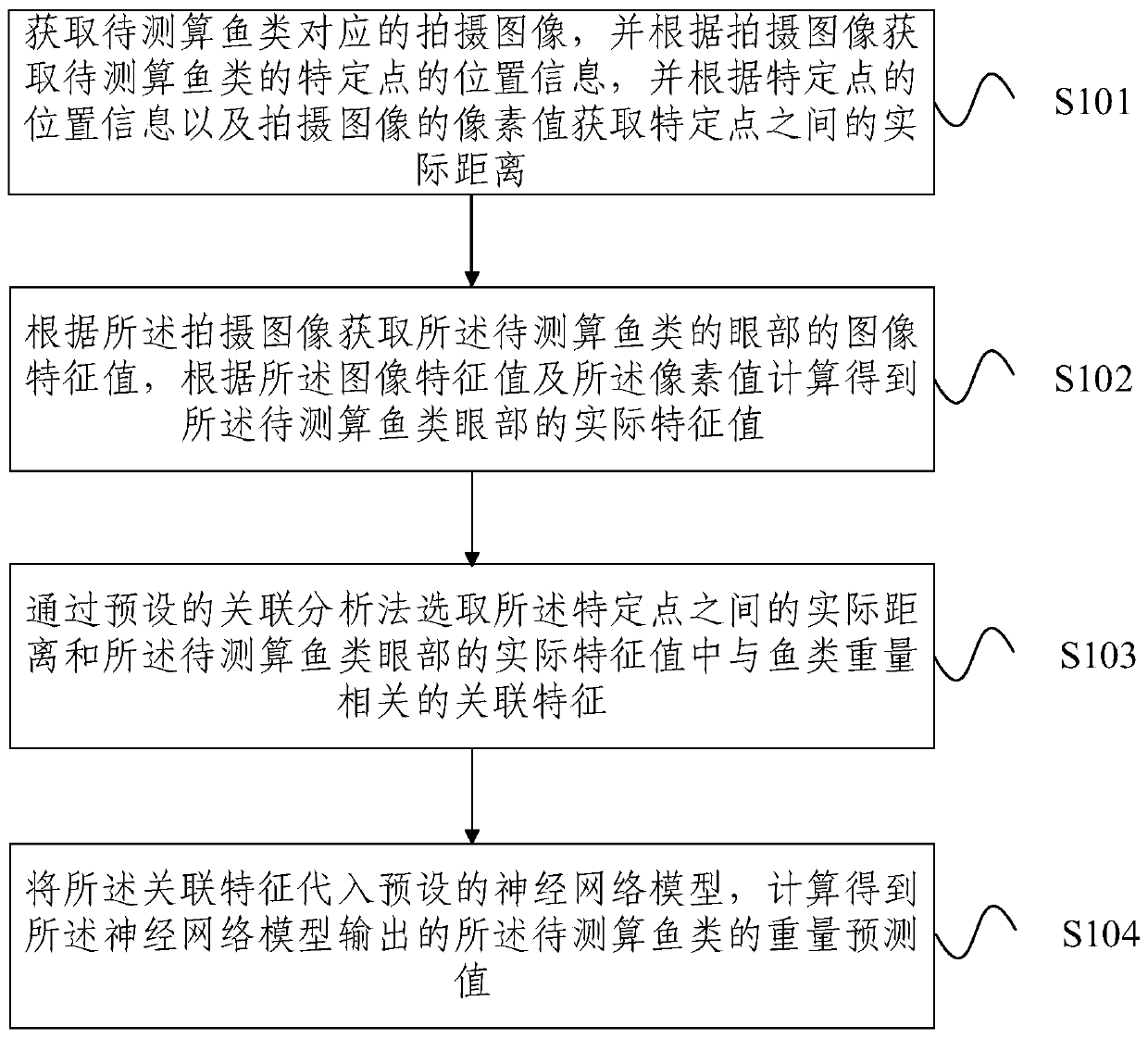 Fish weight measuring and calculating method and device