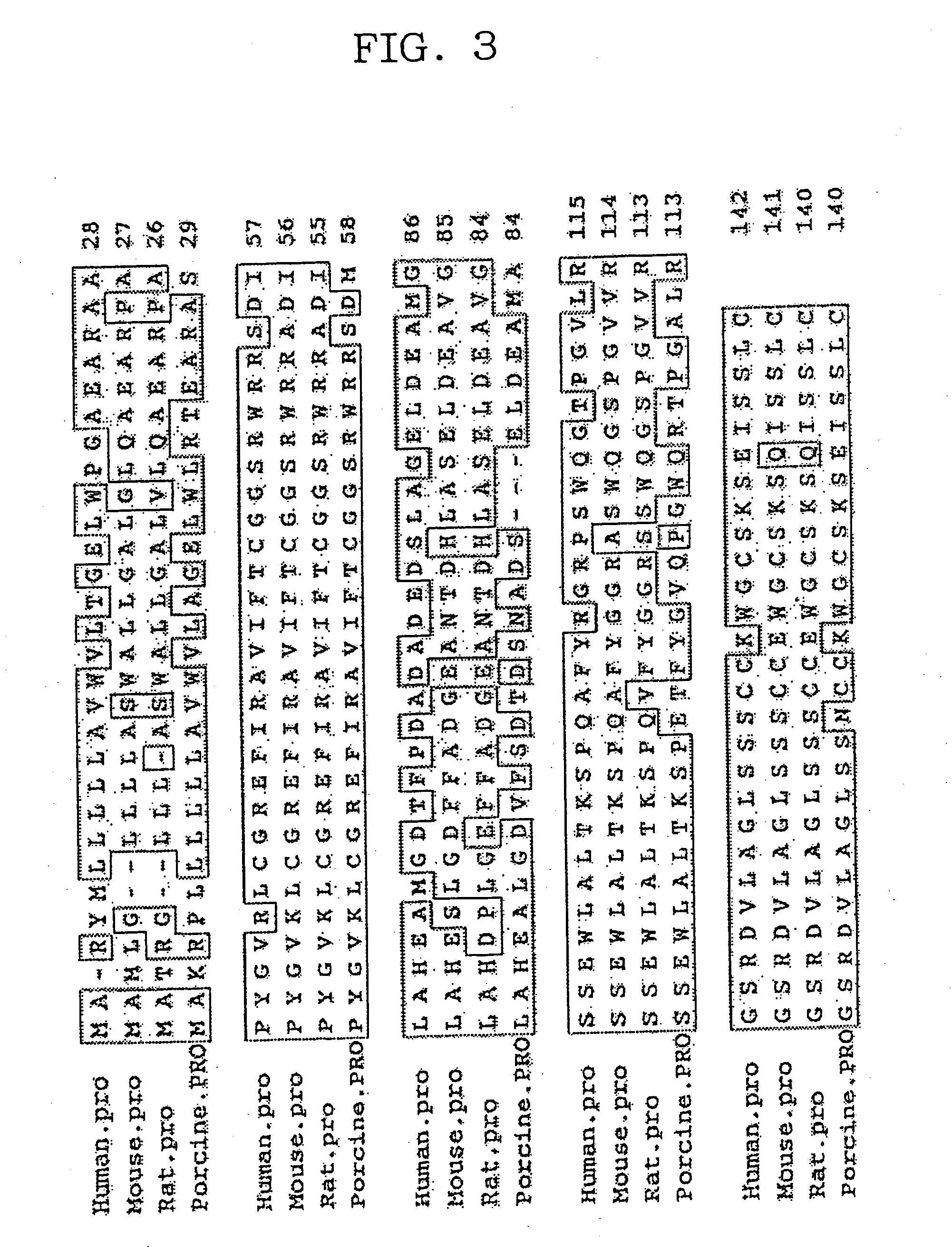 Novel insulin/IGF/relaxin family polypeptides and DNAs thereof