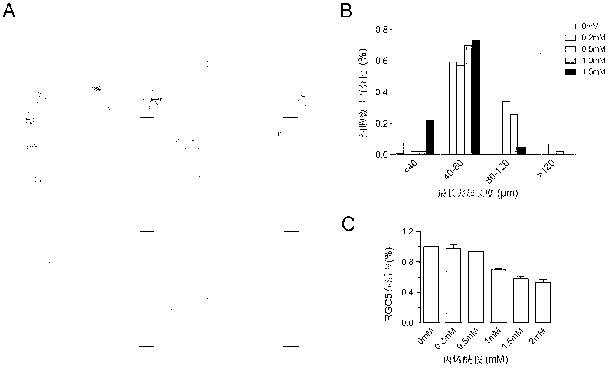 Neurithin gene-carrying lentivirus and application thereof in optic nerve injury repair