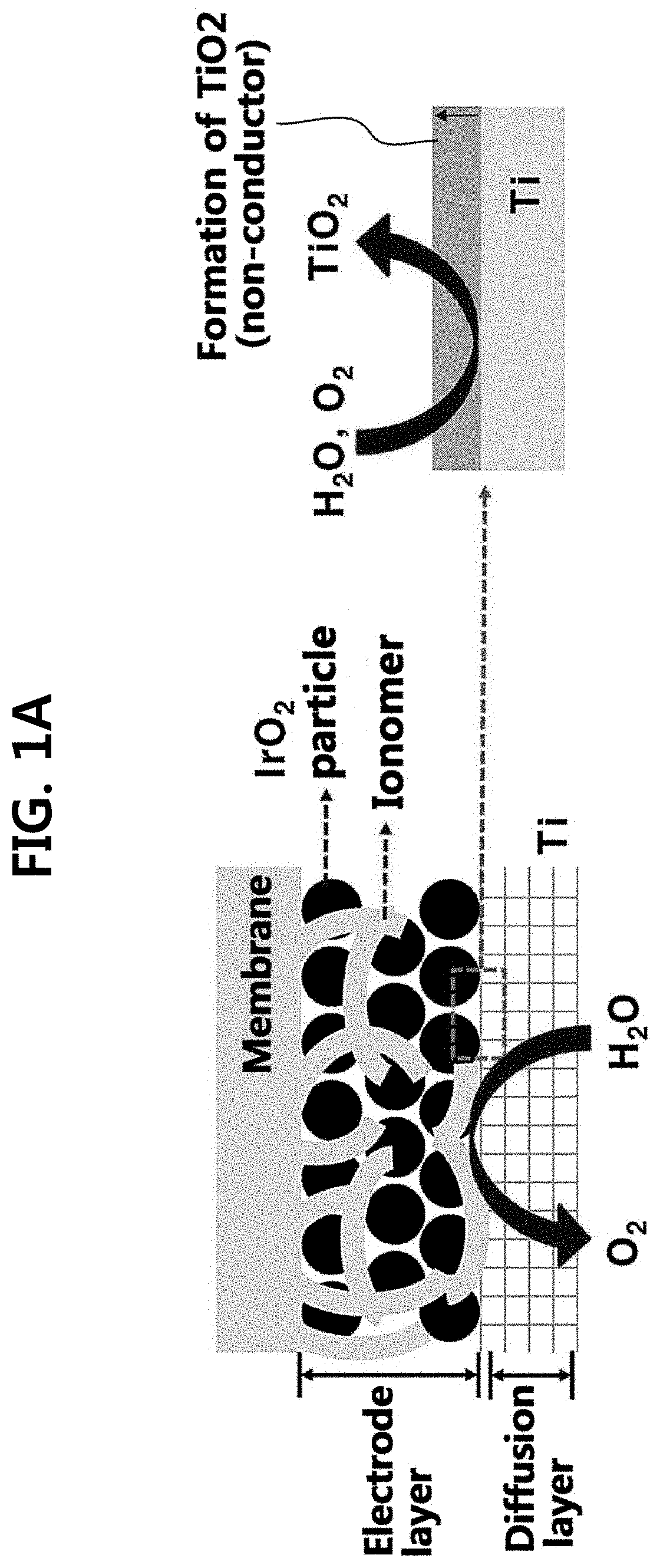 Iridium oxide electrodeposited porous titanium composite layer of polymer electrolyte membrane water electrolysis apparatus, method for preparing the same, and polymer electrolyte membrane water electrolysis apparatus using the same