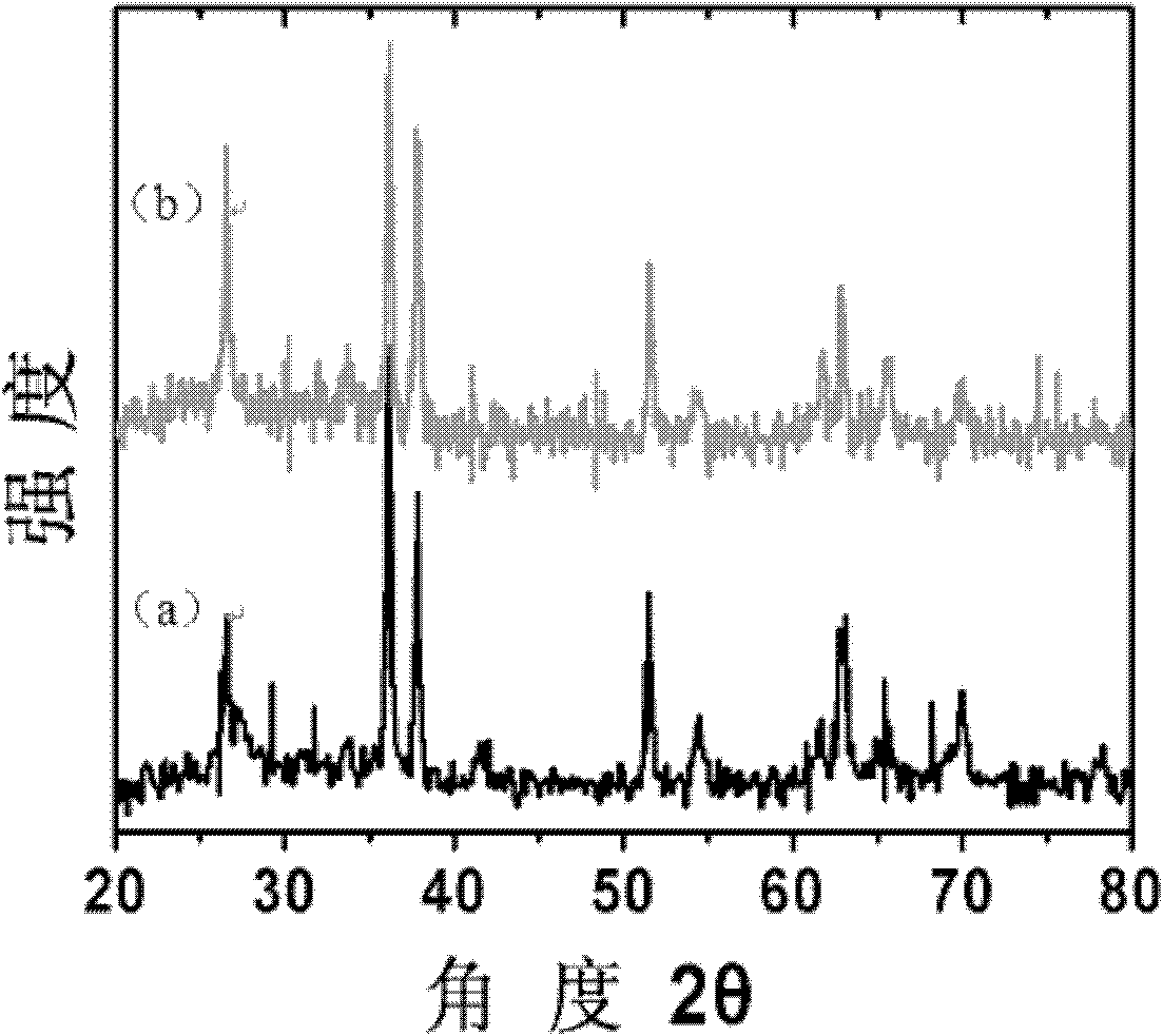 Titanium dioxide photoelectrode and preparation method thereof