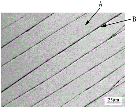 A method for observing shear bands in zirconium-based amorphous alloys