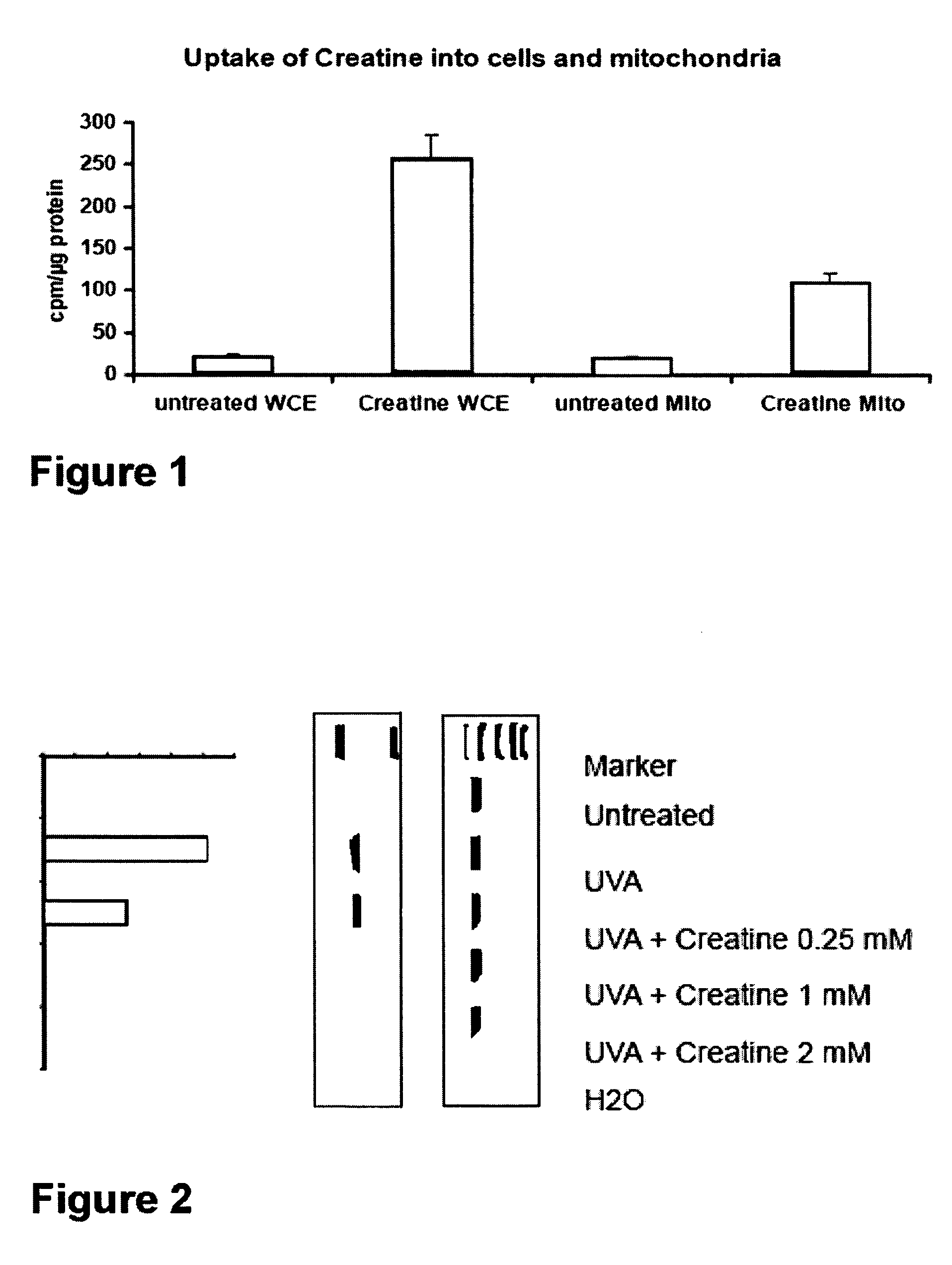 Anti-aging methods and composition