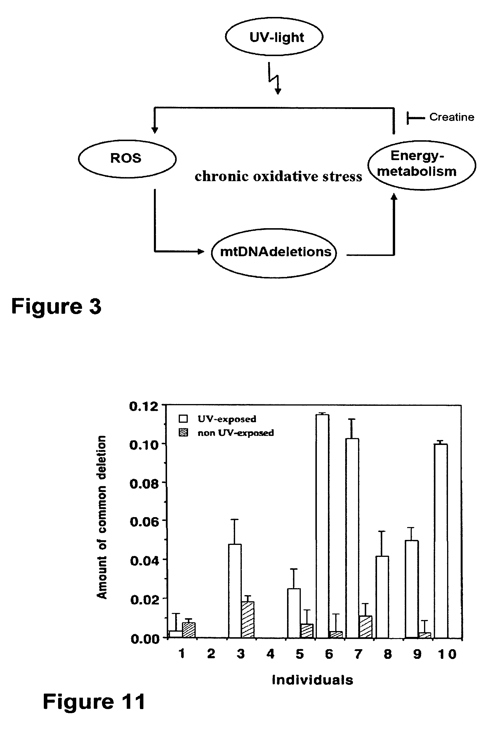 Anti-aging methods and composition