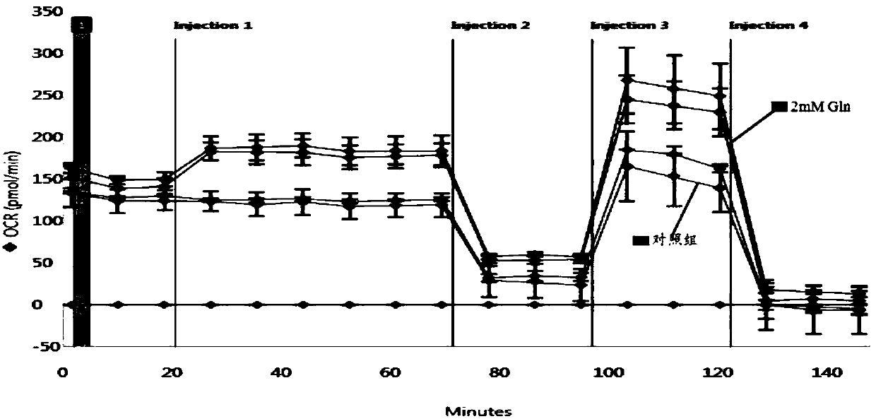 Method for screening functional feed additives for piglets