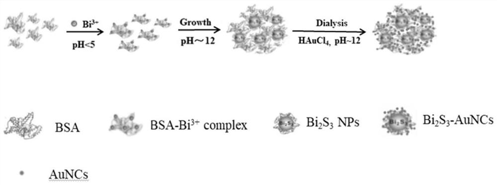 Composite nanomaterial and preparation method for early diagnosis and treatment of tumors