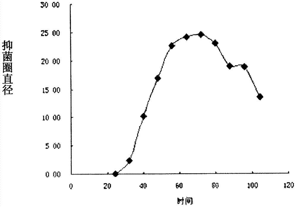 Bacillus subtilis and antibacterial protein thereof