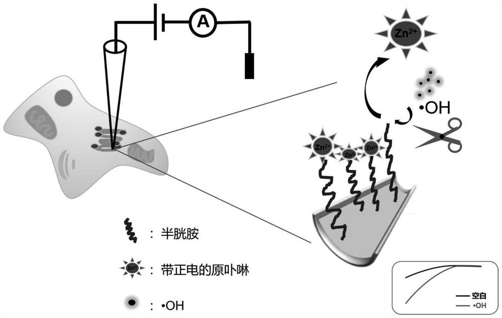 A glass nanopore sensor for detecting oh and its preparation and application