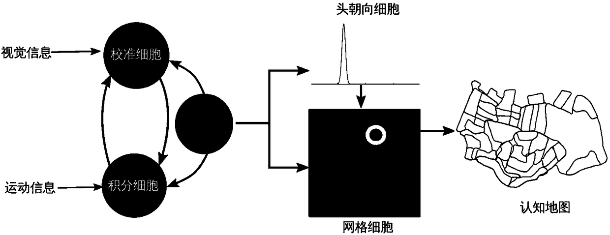 Brainlike robot navigation method based on Bayes multi-mode perception fusion