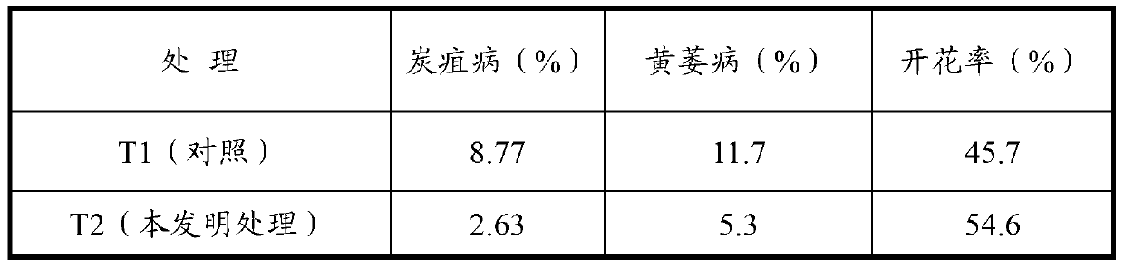 Strawberry fertilizing method with growth promotion, quality improvement, effect increase and disease prevention functions