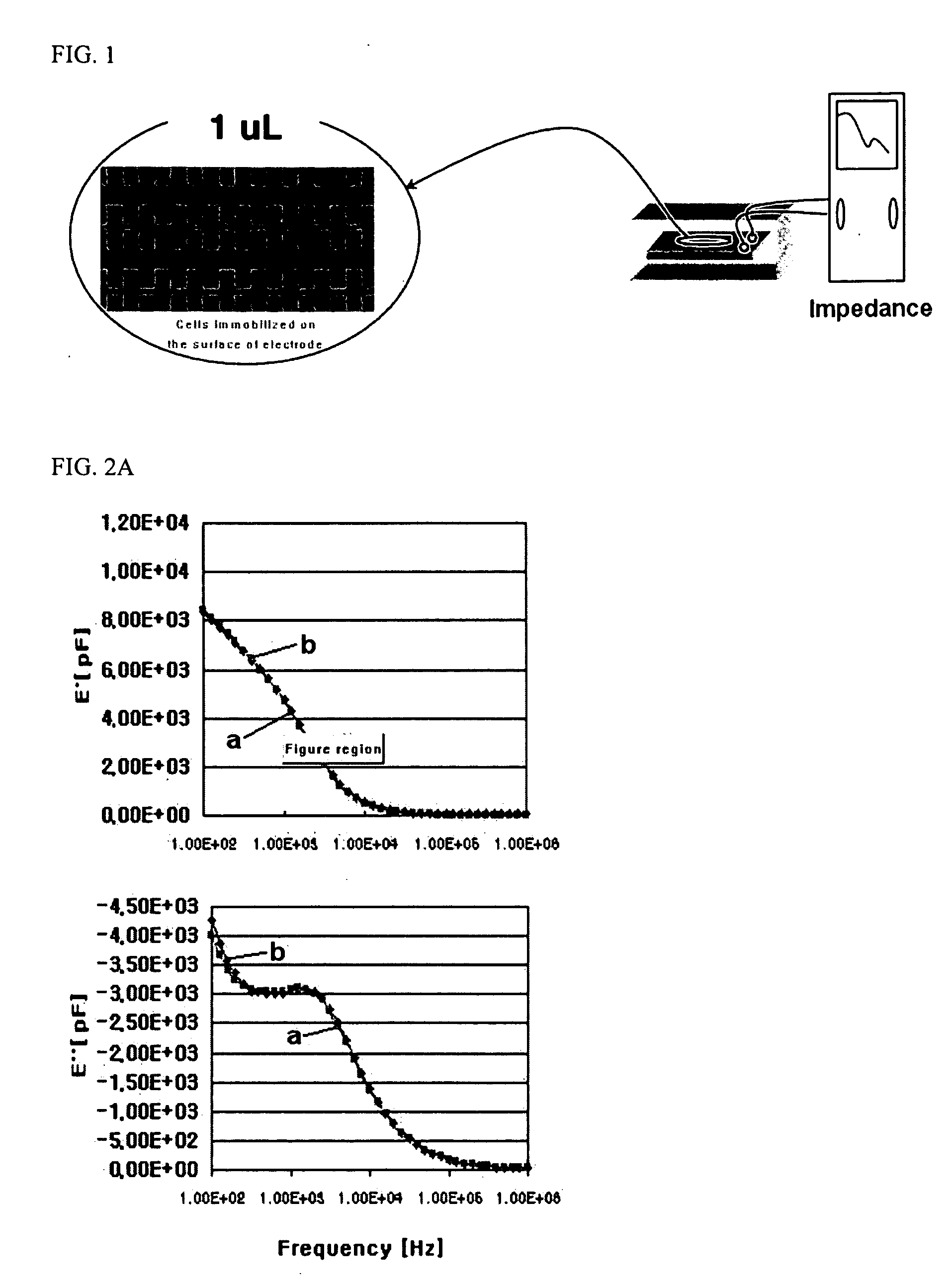 Method and apparatus for electrically detecting an adverse effect of a toxic substance on procaryotic cells