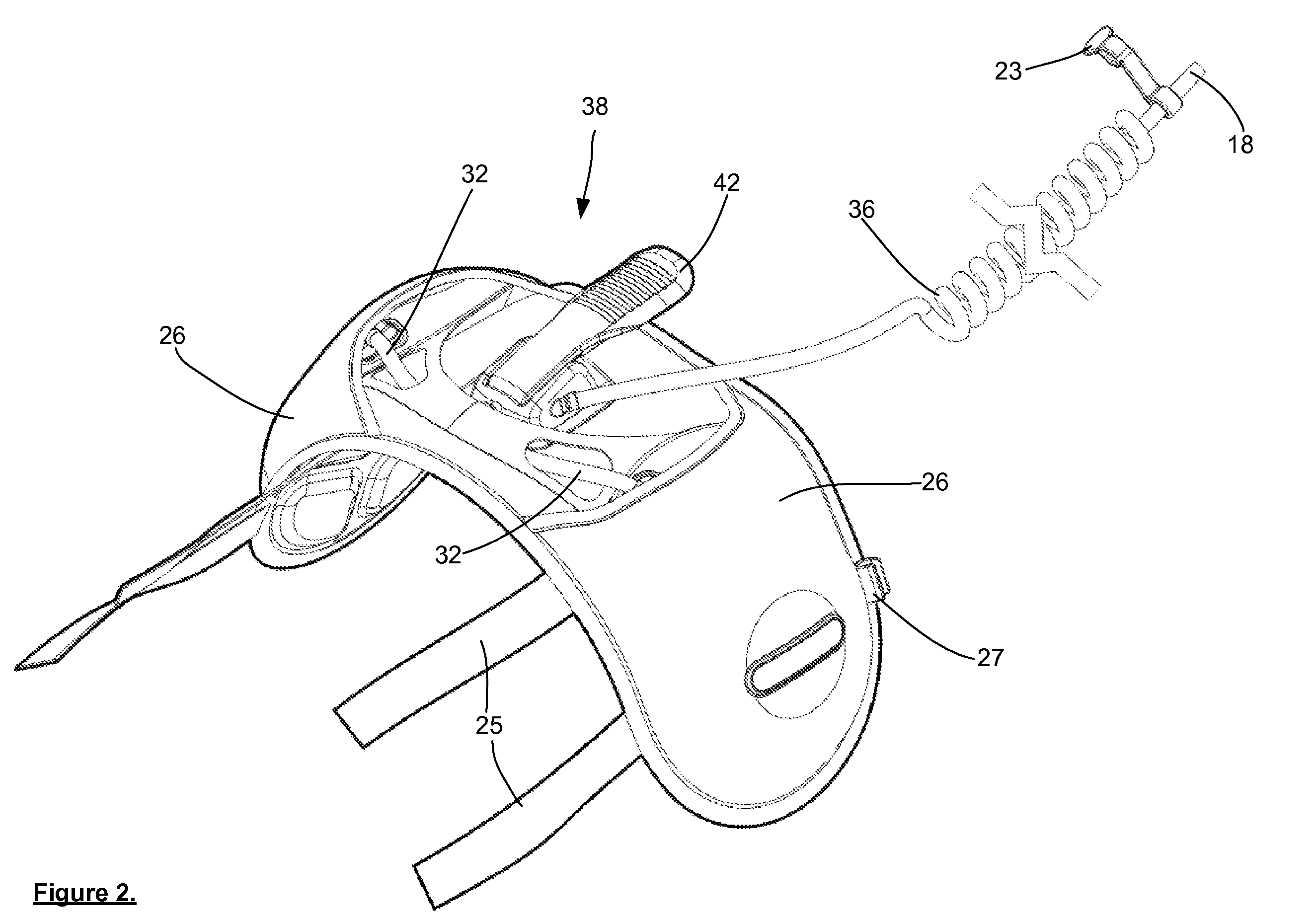 Animal Training Apparatus