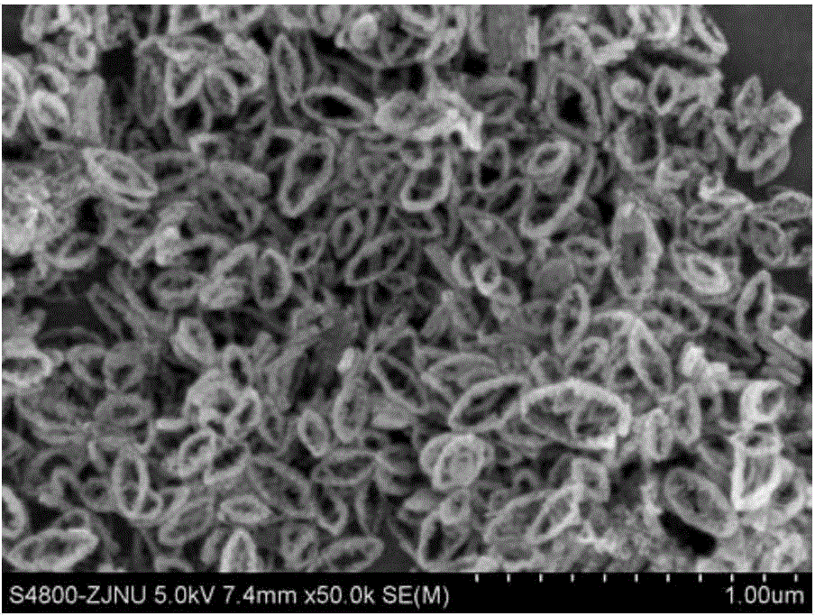 Monodisperse magnetic nanoring as well as preparation method and application of monodisperse magnetic nanoring